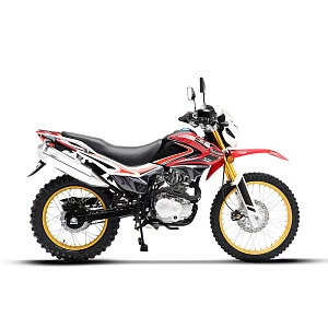 Мотоцикл REGULMOTO SK 250GY-5 (Красный, 100007-3)