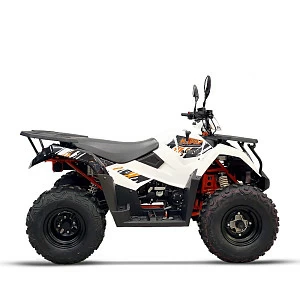 Квадрицикл KAYO AU300 EFI (белый пластик 2024 г.) (ПТС)
