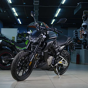 Мотоцикл Regulmoto ALIEN MONSTER 300 (Черный, , 100012-3)