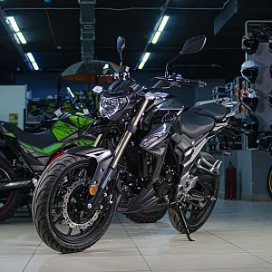 Мотоцикл Regulmoto T-Leopard 300 (Черный, , 100015-3)