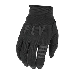 Перчатки FLY RACING F-16 (2022) (черн, 1) Перчатки FLY RACING F-16 (2022) (черн, 1)