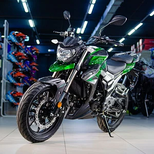 Мотоцикл Regulmoto T-Leopard 300 (Зеленый, , 100015-2)