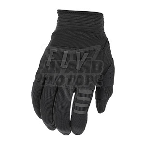 Перчатки FLY RACING F-16 (2022) (черн, 1) Перчатки FLY RACING F-16 (2022) (черн, 1)
