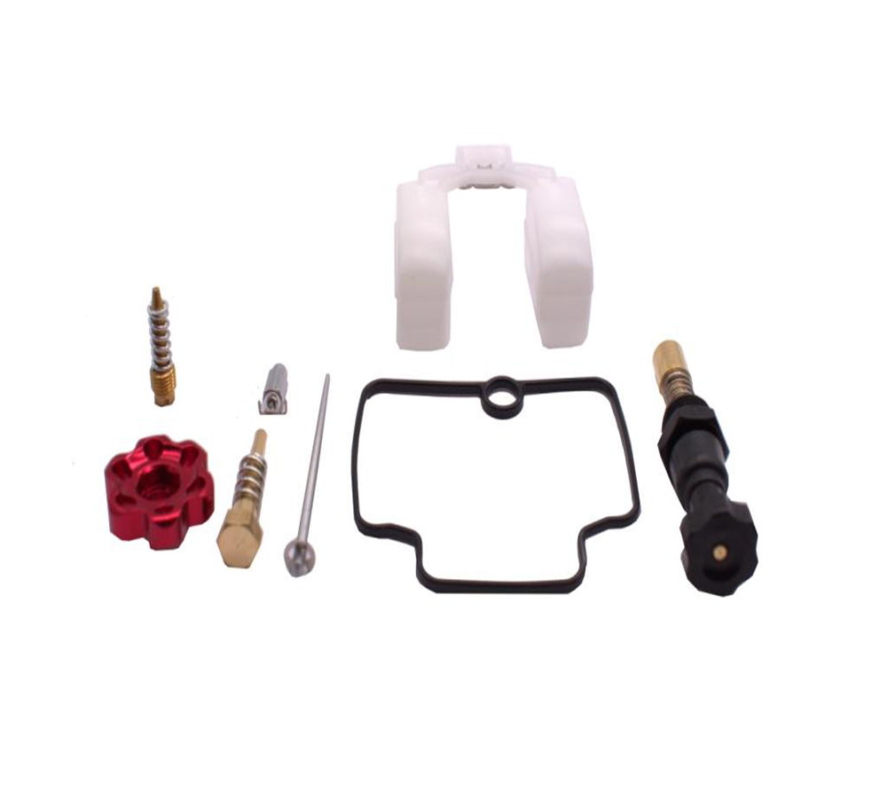 Ремкомплект карбюратора Nibbi PE19/22FL