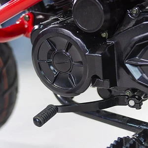 Мотоцикл турэндуро ROCKOT HOUND 250 LUX (красный, ЭПТС) Мотоцикл турэндуро ROCKOT HOUND 250 LUX (красный, ЭПТС)