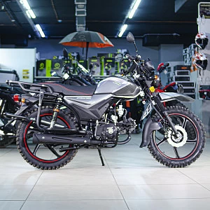 Мопед ROCKOT ALPHA OFFROAD M-12 (серый металлик)