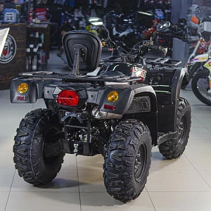 Квадрицикл BALTMOTORS BM500 EFI (черный)