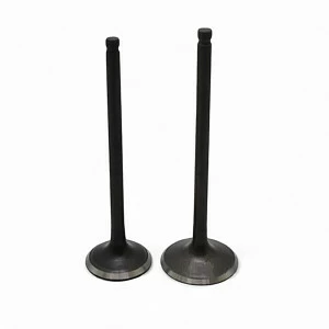 Клапаны ZS172FMM-3A CB250-F ROCKOT R4/R5F/R7/R11/GS7/GS2 (D=31,5/L=88,5; D=27/L=85) (пара)