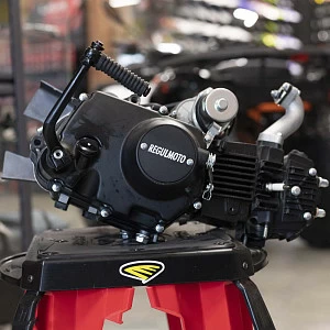 Двигатель 139FMB, 147FMB 72cc Alpha, Delta. 120cc