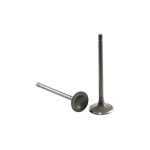 Клапаны комплект 250сс 169FMM,167FMM (впуск/выпуск) Клапаны комплект 250сс 169FMM,167FMM (впуск/выпуск)