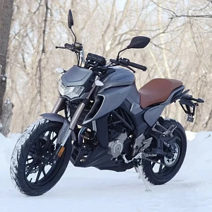 Мотоцикл Regulmoto ALIEN MONSTER 300 (Серебро, , 100012-11) Мотоцикл Regulmoto ALIEN MONSTER 300 (Серебро, , 100012-11)